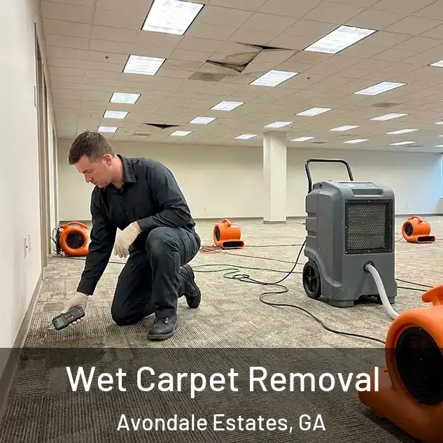  Wet Carpet Removal Avondale Estates, GA
